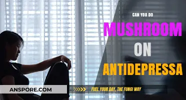 Mushrooms and Antidepressants: Risks, Interactions, and Safety Concerns Explained