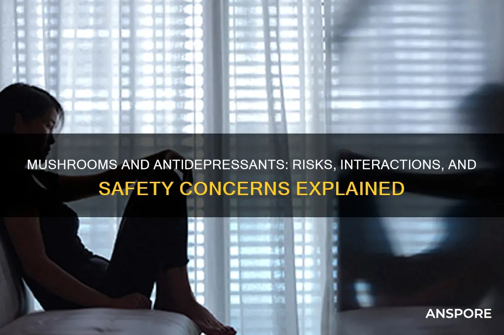 can you do mushrooms on antidepressants