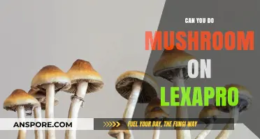 Mixing Mushrooms and Lexapro: Risks, Interactions, and Safety Concerns