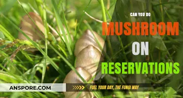 Exploring Psilocybin Legality on Native American Reservations: What You Need to Know