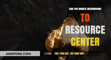 Donating Mushrooms to Resource Centers: A Guide to Giving Back