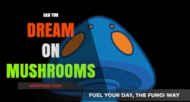 Exploring the Surreal: Can Mushrooms Induce Vivid Dreams?
