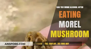 Alcohol and Morel Mushrooms: Safe Pairing or Risky Combination?