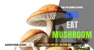 Alcohol and Mushrooms: Safe Mix or Risky Combination?