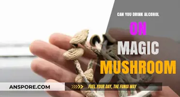 Mixing Alcohol and Magic Mushrooms: Risks, Effects, and Safety Tips