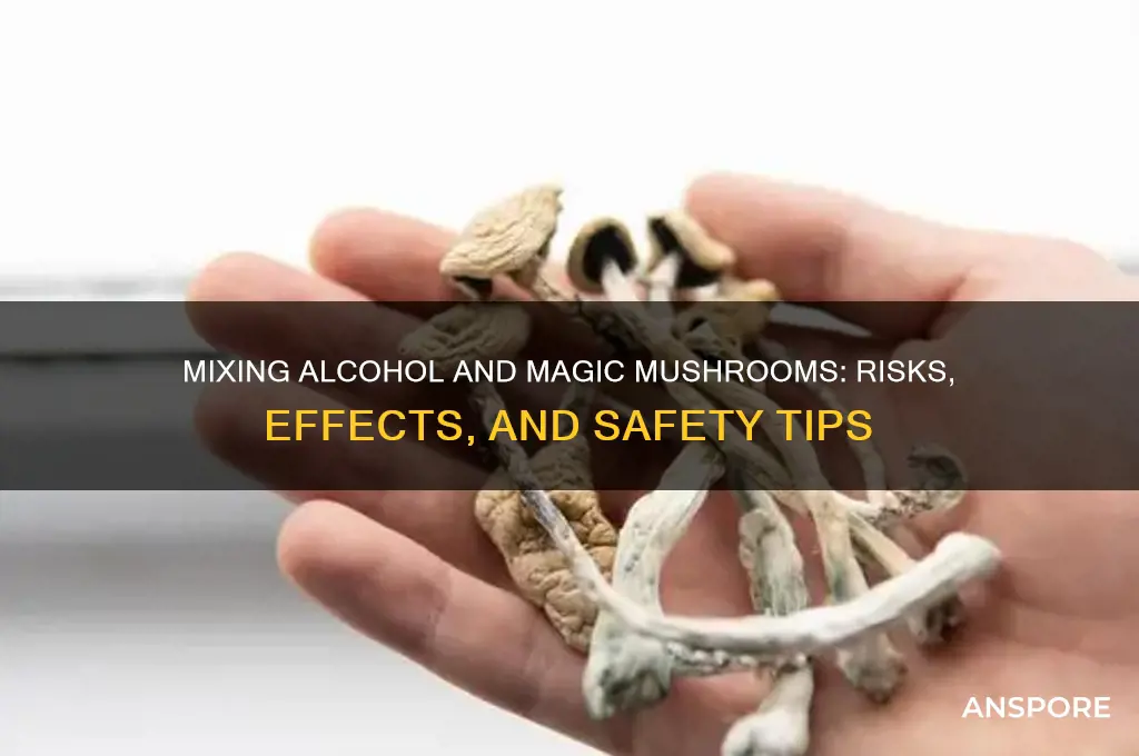 can you drink alcohol on magic mushrooms