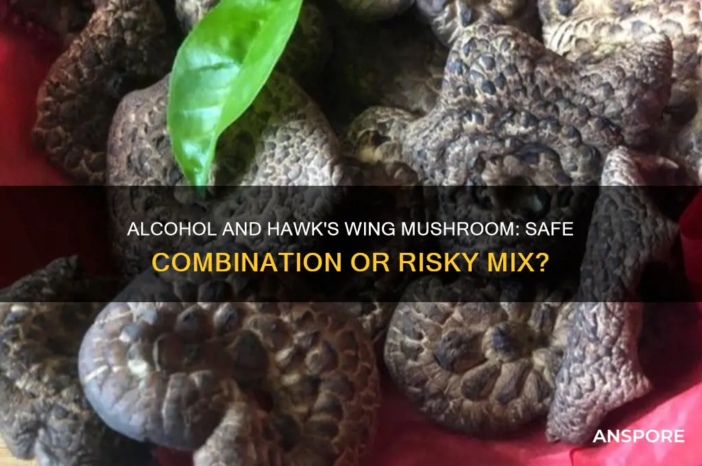 can you drink alcohol with hawk