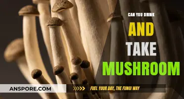 Mixing Alcohol and Magic Mushrooms: Risks, Effects, and Safety Tips