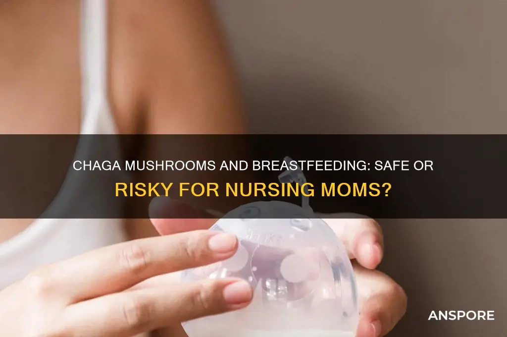 can you drink chaga mushrooms while breastfeeding