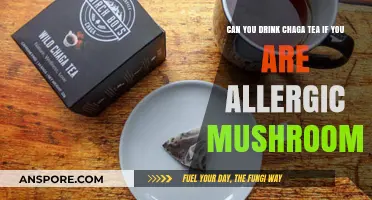 Chaga Tea and Mushroom Allergies: Safe to Sip or Skip?
