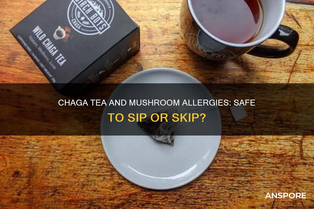 can you drink chaga tea if you are allergic mushrooms