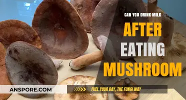 Mushroom and Milk Mix: Safe or Risky? Expert Insights