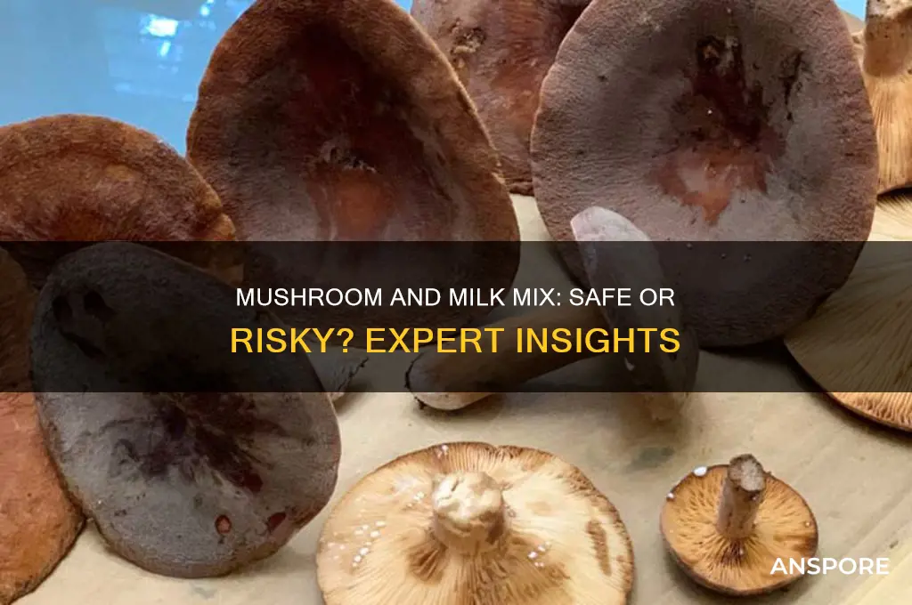 can you drink milk after eating mushroom