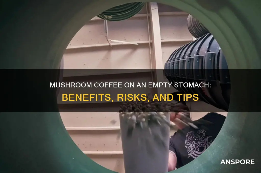 can you drink mushroom coffee on an empty stomach