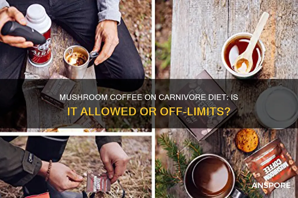 can you drink mushroom coffee on carnivore diet