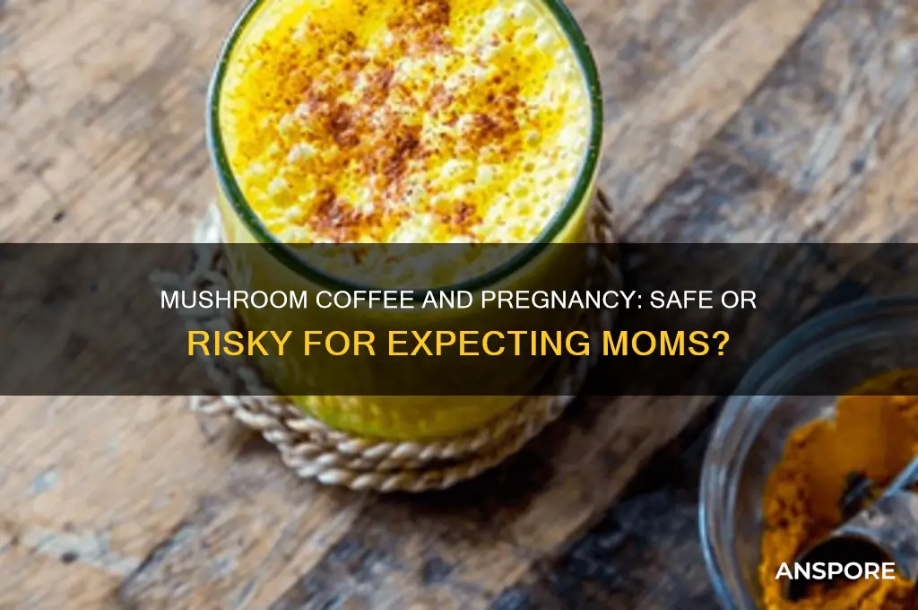 can you drink mushroom coffee when pregnant