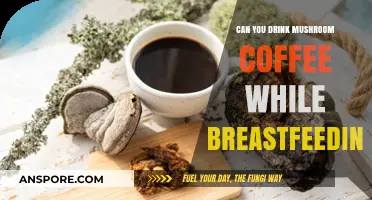 Mushroom Coffee and Breastfeeding: Safe or Risky for New Moms?