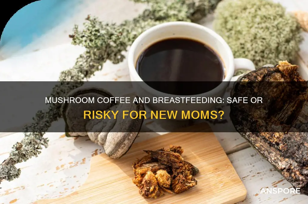 can you drink mushroom coffee while breastfeeding