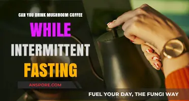 Mushroom Coffee and Intermittent Fasting: Does It Break Your Fast?