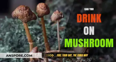 Mixing Mushrooms and Alcohol: Risks, Effects, and Safety Tips