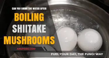 Is Boiled Shiitake Mushroom Water Safe to Drink?