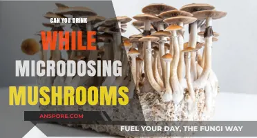 Microdosing Mushrooms and Alcohol: Safe Mix or Risky Combo?