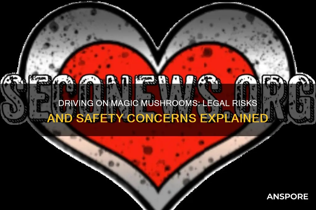 can you drive on magic mushrooms