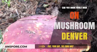 Driving High on Mushrooms in Denver: Legal Risks and Safety Concerns