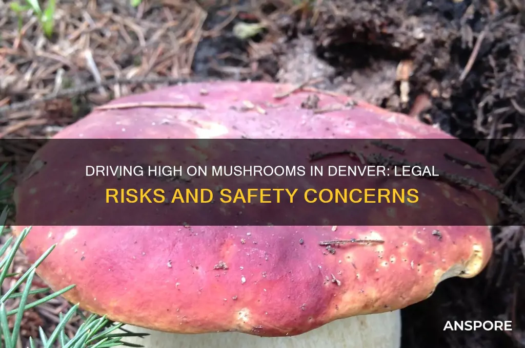 can you drive while high on mushrooms denver
