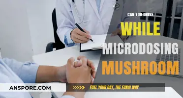Microdosing Mushrooms and Driving: Legal, Safe, or Risky Behavior?