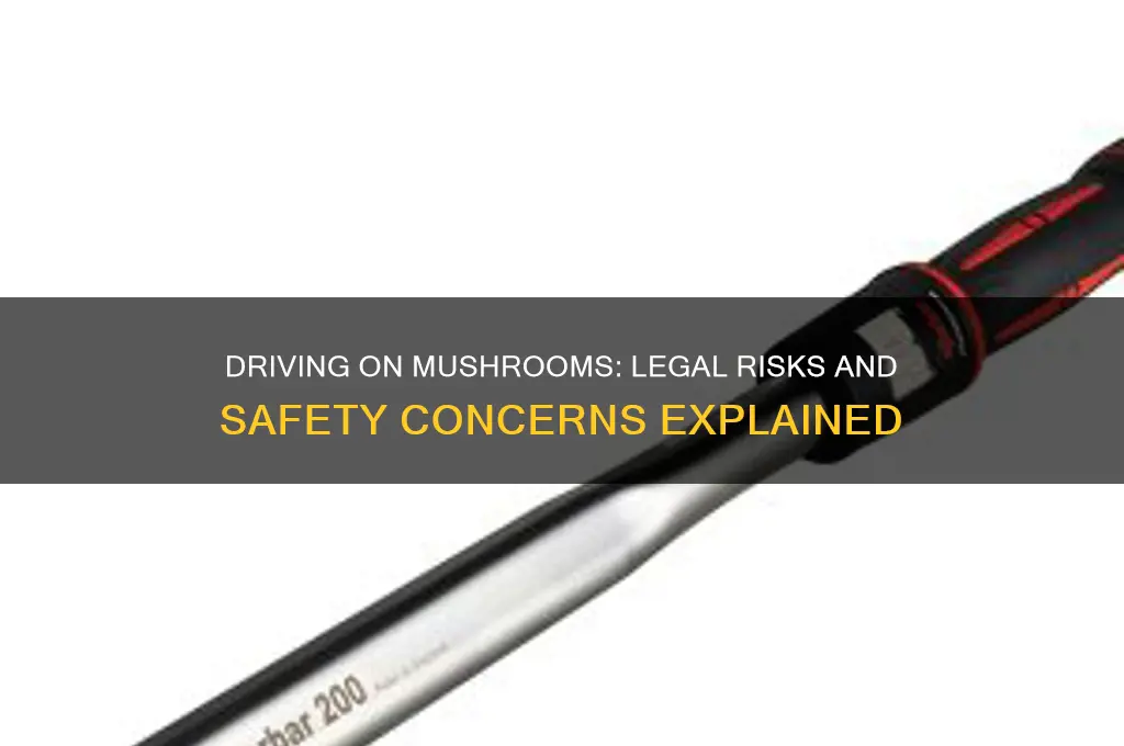 can you drive while on mushrooms