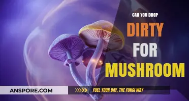 Can You Drop Dirty for Mushrooms? Exploring Psilocybin's Potential