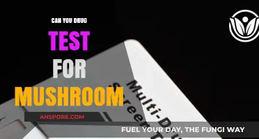 Can You Drug Test for Mushrooms? Psilocybin Detection Explained