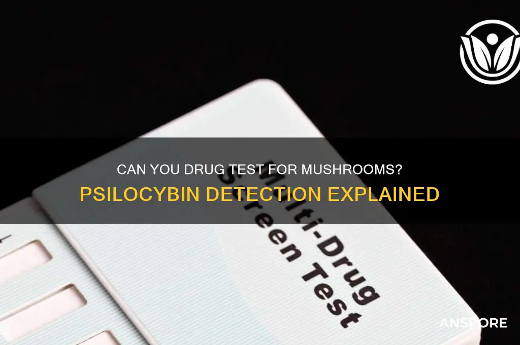 can you drug test for mushroom