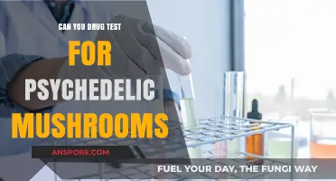 Can You Drug Test for Psychedelic Mushrooms? What You Need to Know