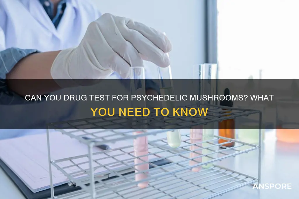 can you drug test for psychedelic mushrooms