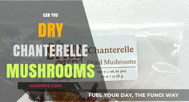 How to Dry Chanterelle Mushrooms: A Simple Preservation Guide