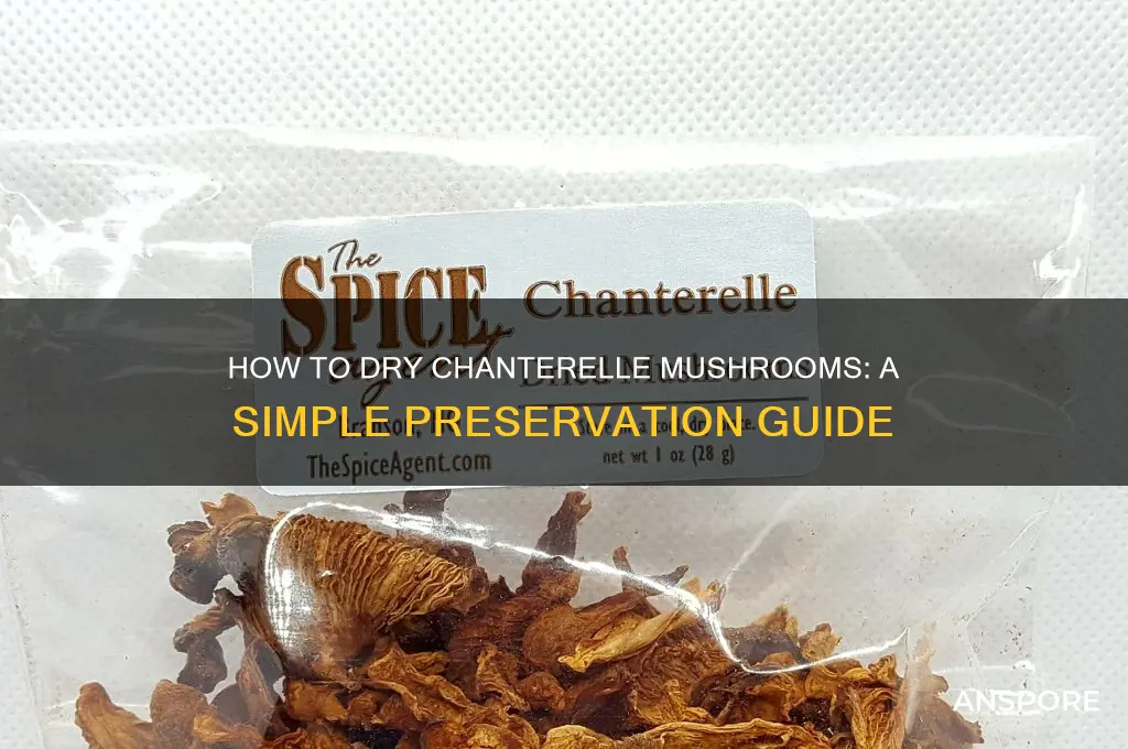 can you dry chanterelle mushrooms