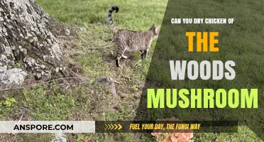 Drying Chicken of the Woods Mushrooms: Tips and Best Practices