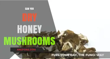 Drying Honey Mushrooms: A Simple Preservation Guide for Foragers