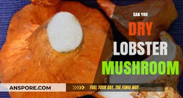 Drying Lobster Mushrooms: A Guide to Preserving Their Unique Flavor