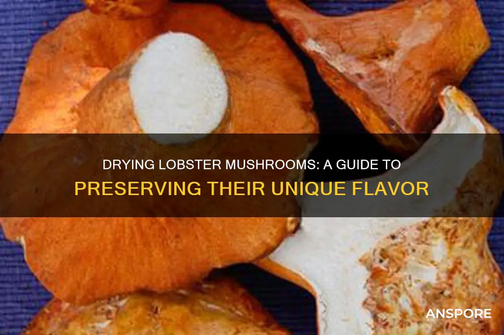 can you dry lobster mushrooms