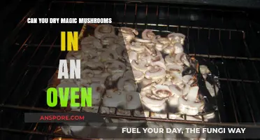 Drying Magic Mushrooms in the Oven: Safe Method or Risky Move?