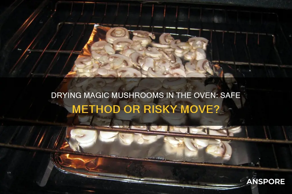 can you dry magic mushrooms in an oven