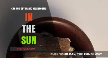 Sun-Drying Magic Mushrooms: Safe Method or Risky Practice?