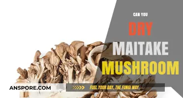 How to Properly Dry Maitake Mushrooms for Long-Term Storage