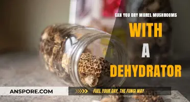 Dehydrating Morel Mushrooms: A Guide to Using a Dehydrator for Preservation