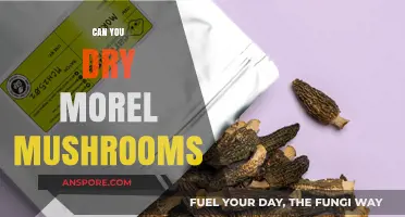 How to Properly Dry Morel Mushrooms for Long-Term Storage