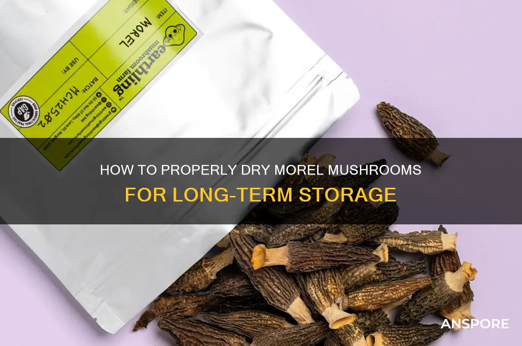 can you dry morel mushrooms