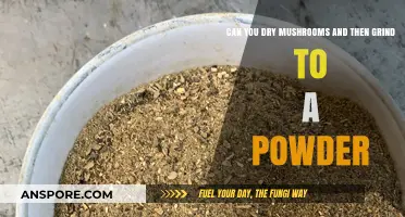 Drying Mushrooms for Powder: A Simple Preservation and Grinding Guide